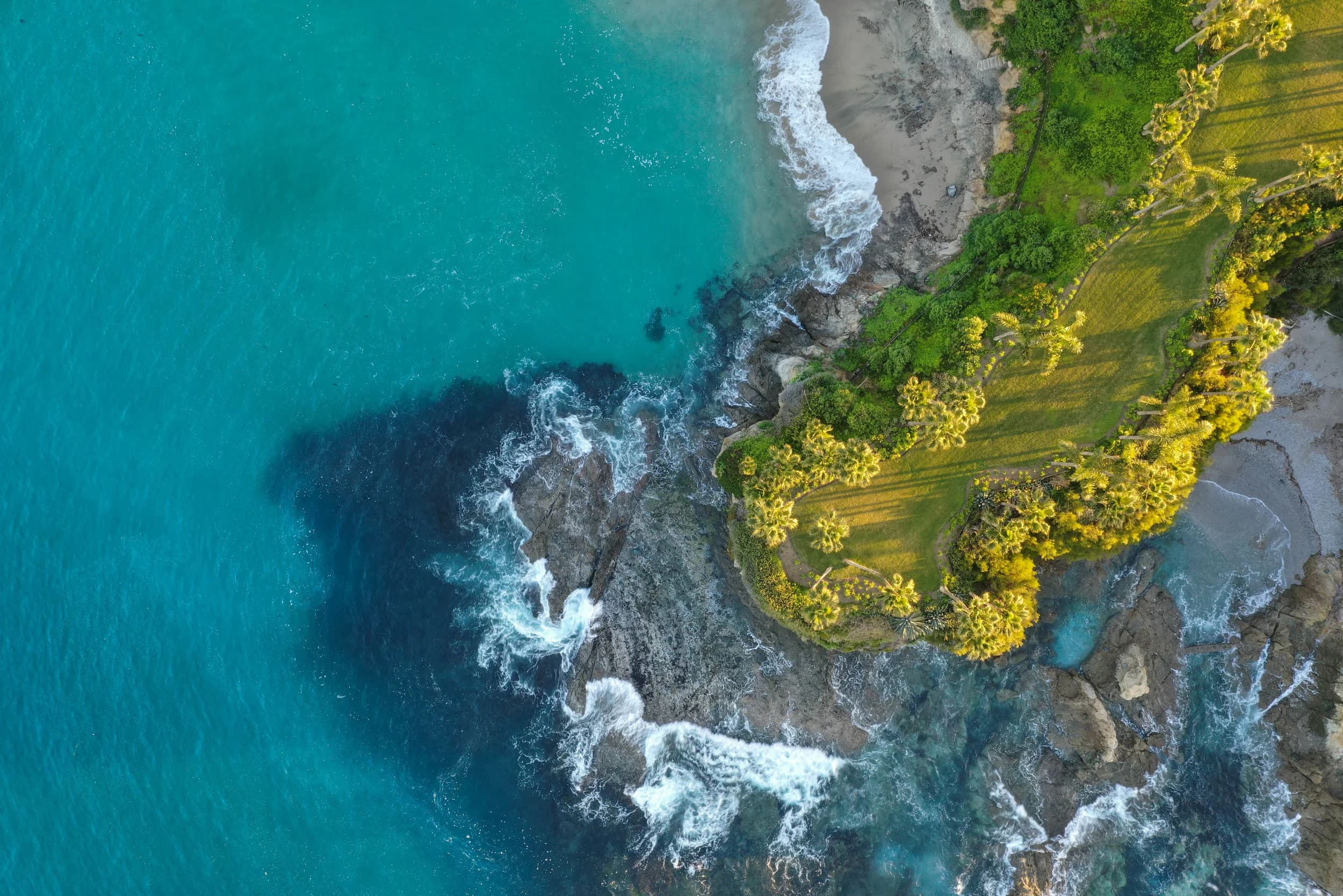 Aerial view of a turquoise Pacific cove meeting a green coastline